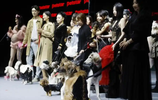 宠物经济:持续升温背后的动因 宠物经济:持续升温背后的动因