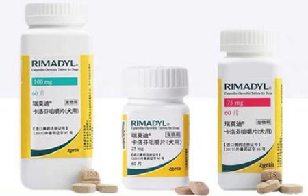瑞莫迪犬用止痛片升级适口性设计，瑞莫解决犬只喂药难题