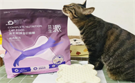 靓贝猫粮：猫咪健康的新选择