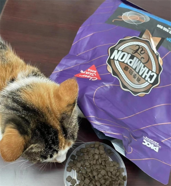 畅享优品六种肉猫粮：猫咪的营养盛宴