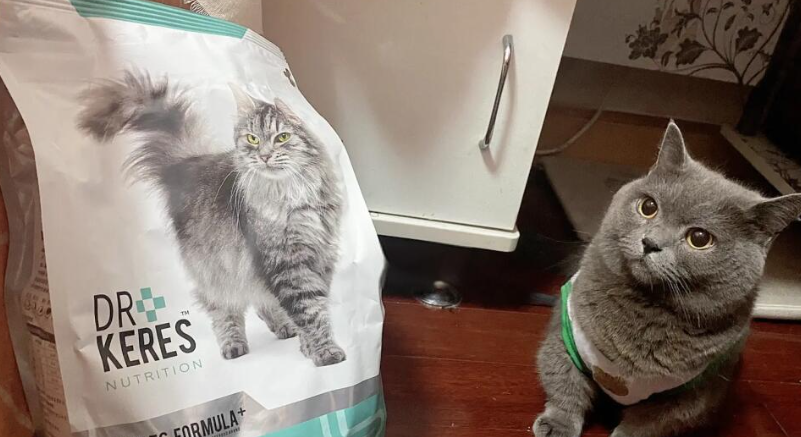 立足质量!凯锐思荣获“全国产品和服务质量诚信示范企业”荣誉 立足质量!凯锐思荣获“全国产品和服务质量诚信示范企业”荣誉