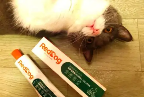 红狗化毛膏:猫咪吐毛球的好帮手 红狗化毛膏:猫咪吐毛球的好帮手