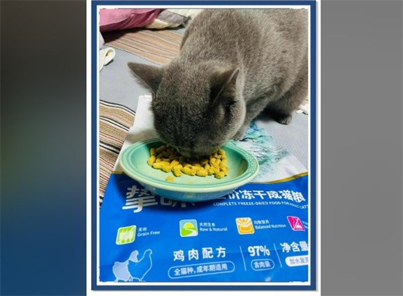 惊喜!朗诺冻干登上央视啦! 惊喜!朗诺冻干登上央视啦!