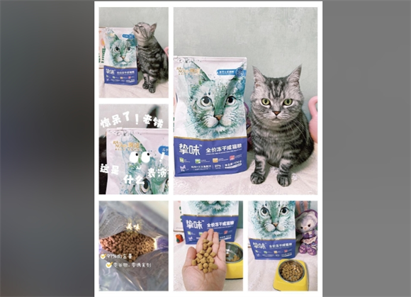 朗诺冻干猫粮:猫咪的营养小天地 朗诺冻干猫粮:猫咪的营养小天地