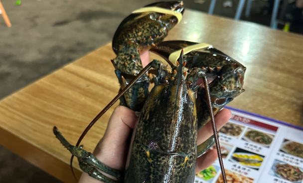 波斯顿龙虾什么价格