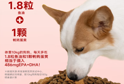 纽顿和麦富迪狗粮哪个更实用?综合评比揭示真实优劣 纽顿和麦富迪狗粮哪个更实用?综合评比揭示真实优劣