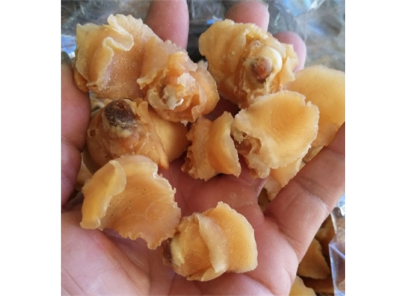 毛贝和扇贝有什么区别 毛贝和扇贝有什么区别