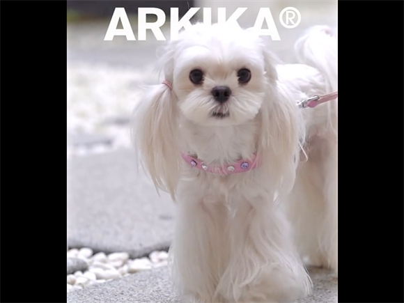 ARKIKA 真皮彩钻轻柔胸背套装 ARKIKA 真皮彩钻轻柔胸背套装