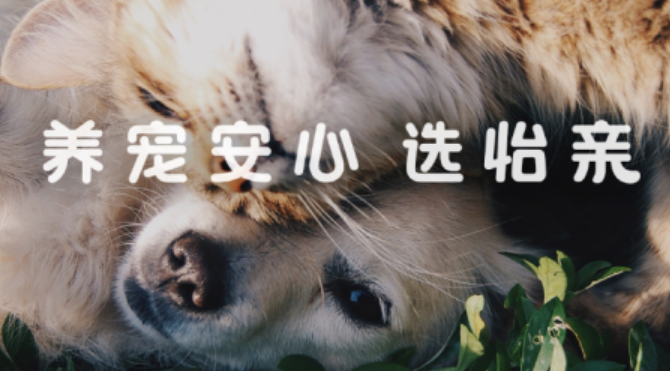 怡亲全价风干猫粮,全面呵护爱宠健康! 怡亲全价风干猫粮,全面呵护爱宠健康!