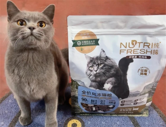 纯皓猫粮:猫咪的食肉天堂 纯皓猫粮:猫咪的食肉天堂