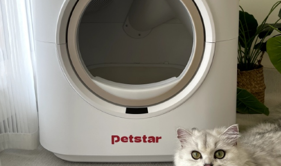 PETSTAR猫砂盆多久清理一次 PETSTAR猫砂盆多久清理一次