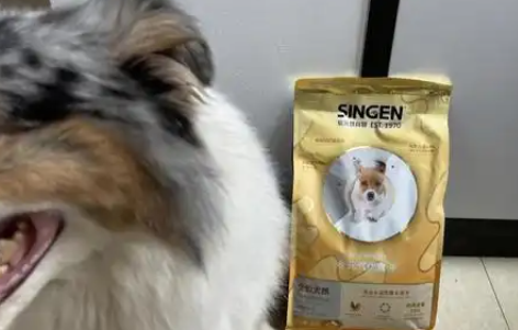 信元发育宝猫粮:口碑与品质的双重保障 信元发育宝猫粮:口碑与品质的双重保障