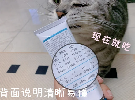 卫仕营养膏，宠物健康的忠诚卫士