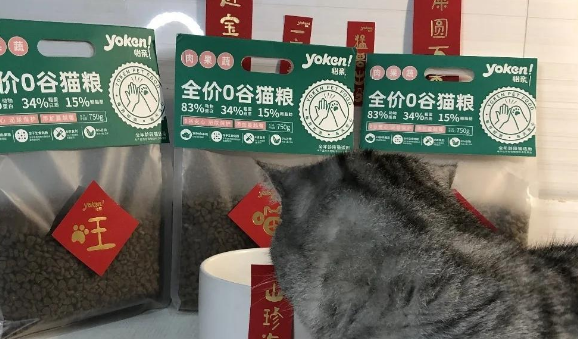 怡亲0谷粮测评：猫粮优选！