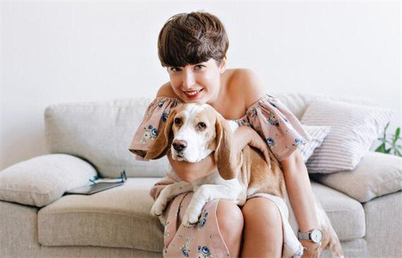比格犬体型发育的一般规律