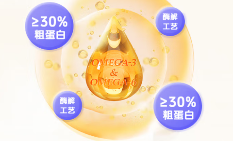 美滋元奶糕猫粮：离乳幼猫的黄金营养补给站