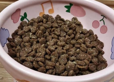 给猫咪最好的:哈根纽翠斯铂晶猫粮推荐 给猫咪最好的:哈根纽翠斯铂晶猫粮推荐
