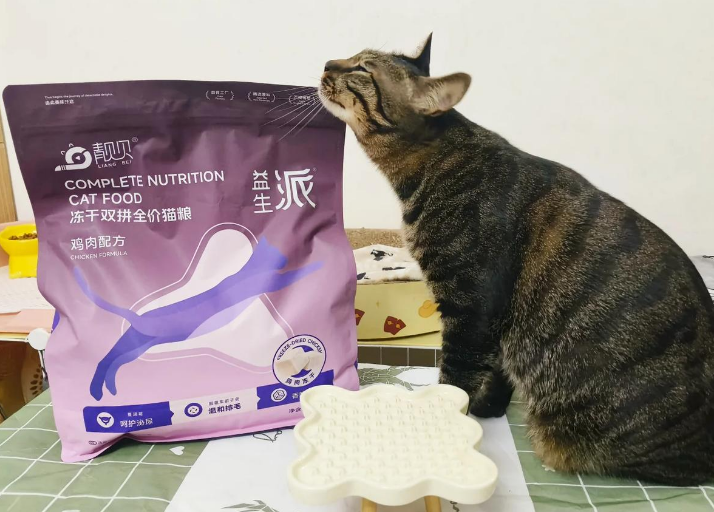 靓贝猫粮：猫咪健康的新选择