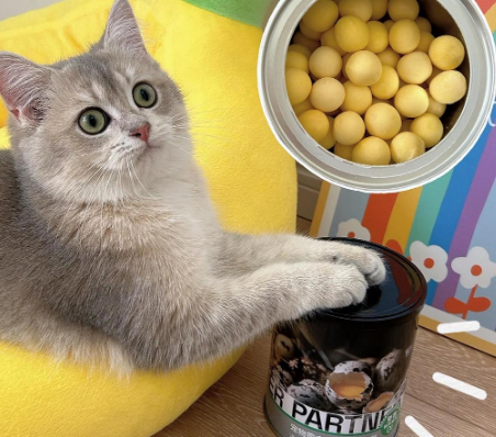 帕特冻干鹌鹑蛋黄:猫咪的蛋黄美食之旅 帕特冻干鹌鹑蛋黄:猫咪的蛋黄美食之旅