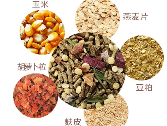 秀恩兔粮获市场热捧：宠物兔健康管理的优选方案