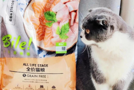 猫咪西餐体验：比乐猫粮大揭秘