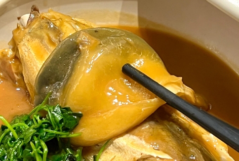 深圳哪里有河豚吃 深圳哪里有河豚吃