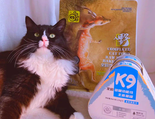 K9全价猫粮推荐~