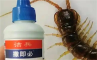 对付蜈蚣的方法有哪些