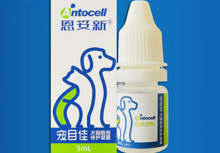 恩妥新宠物眼药水多少钱