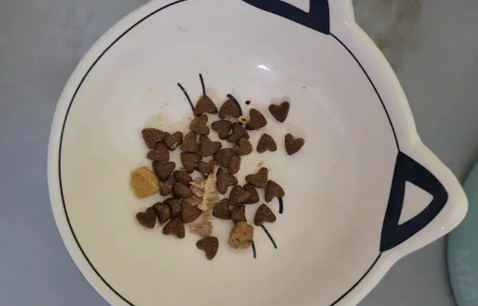 卫仕五拼冻干猫粮：全价营养，呵护猫咪肠胃健康