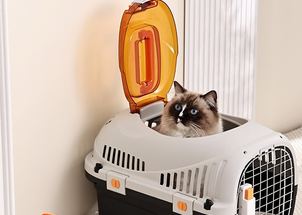瀚辰猫包，助力猫咪快乐出行
