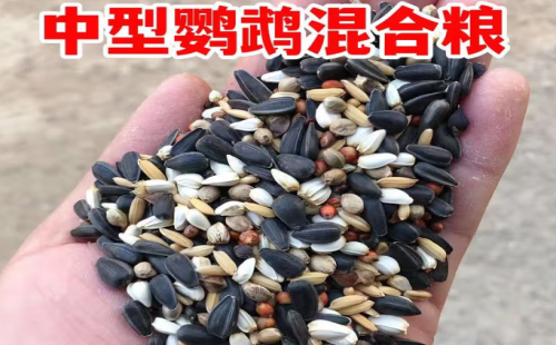 万百惠