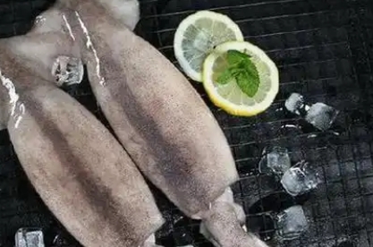 处理好的鱿鱼怎么保存