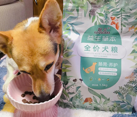 靓贝益生草本全价犬粮:呵护狗狗肠胃的佳选 靓贝益生草本全价犬粮:呵护狗狗肠胃的佳选