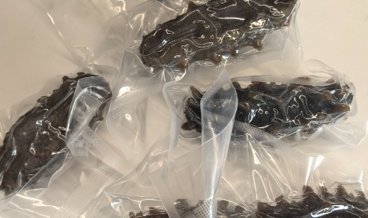 吃海参有什么好处海参的作用