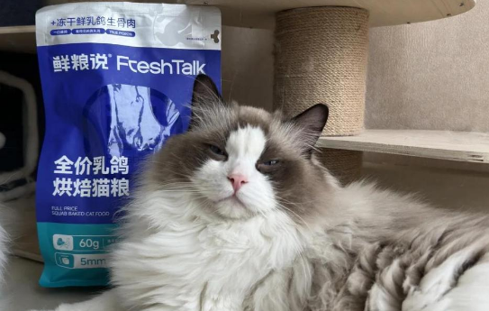 鲜粮说猫粮：真能长肉吗？