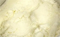 新疆绵羊奶粉价格