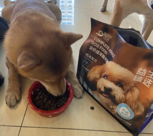 靓贝狗粮:挑食狗狗的福音! 靓贝狗粮:挑食狗狗的福音!