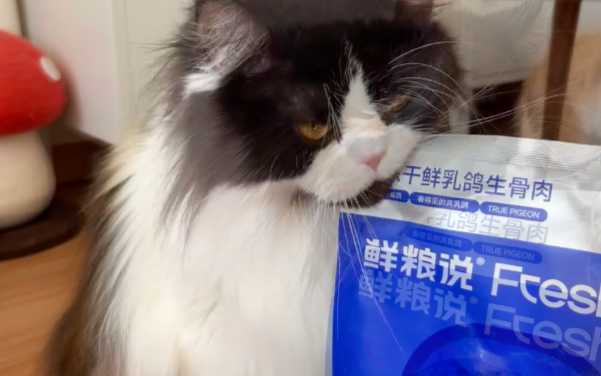 鲜粮说的乳鸽烘焙猫粮，营养更全面！