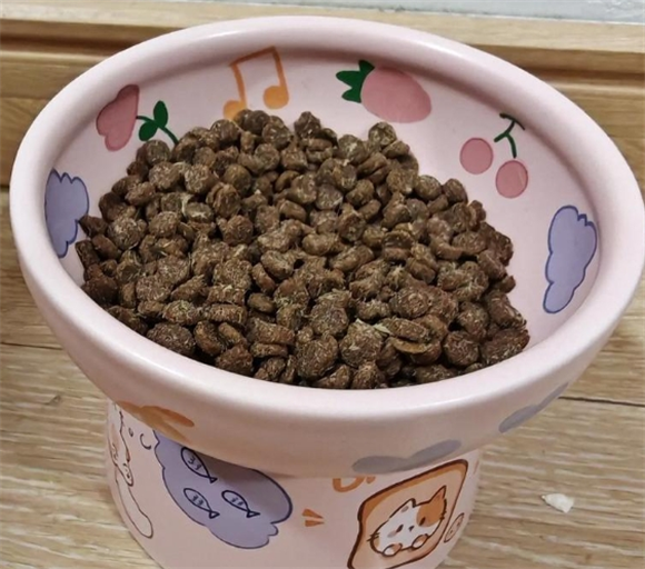 纯皓猫粮，猫都抢食！
