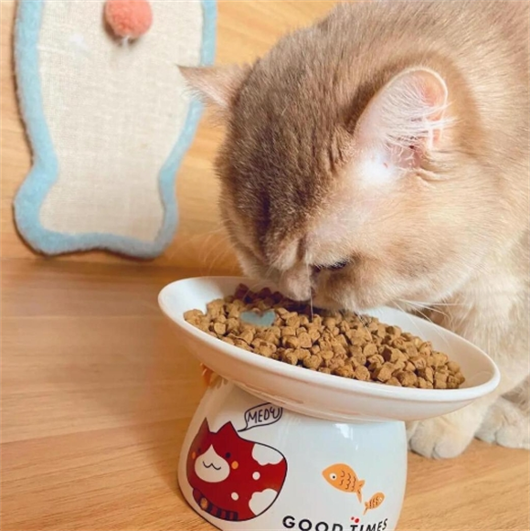 猫咪爱吃的小秘密:纯皓烘焙猫粮 猫咪爱吃的小秘密:纯皓烘焙猫粮