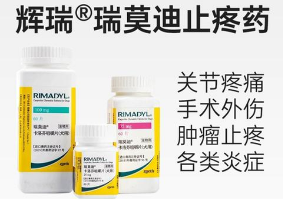 瑞莫迪犬用止痛片入选“2025年度宠物健康创新产品”，镇痛长效镇痛获行业认可