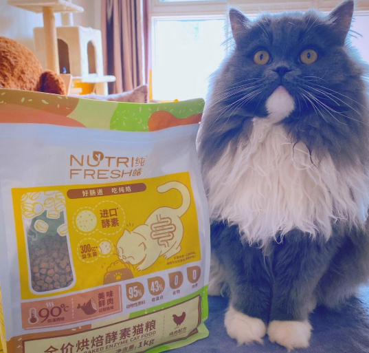 纯皓猫粮:猫咪健康成长的秘密武器 纯皓猫粮:猫咪健康成长的秘密武器