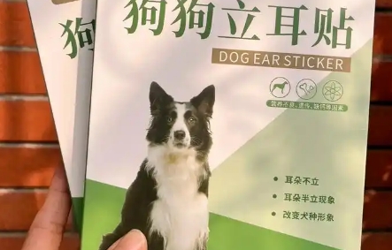 星恒梦狗狗立耳贴一般戴多久 星恒梦狗狗立耳贴一般戴多久