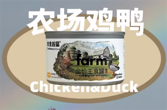 肉食凶猛罐头怎么样