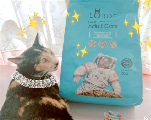 里兜猫粮测评：国产猫粮的新选择