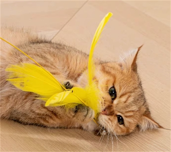 瀚辰逗猫棒为什么对猫有效 瀚辰逗猫棒为什么对猫有效