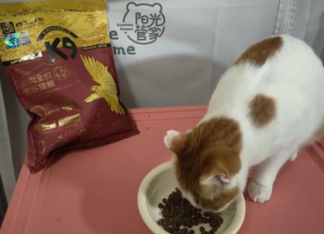 K9猫粮：小猫咪的肠胃守护者