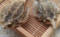 海麻雀有什么作用
