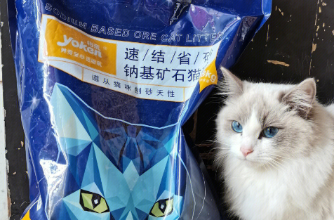 怡享扑扑猫砂安不安全 怡享扑扑猫砂安不安全